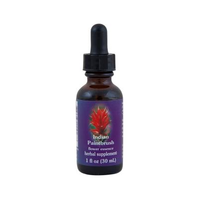 FES Organic Quintessentials Flower Essence Indian Paintbrush 30ml